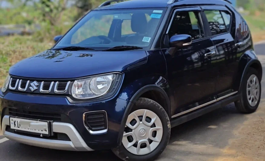 Maruti Suzuki Ignis Delta