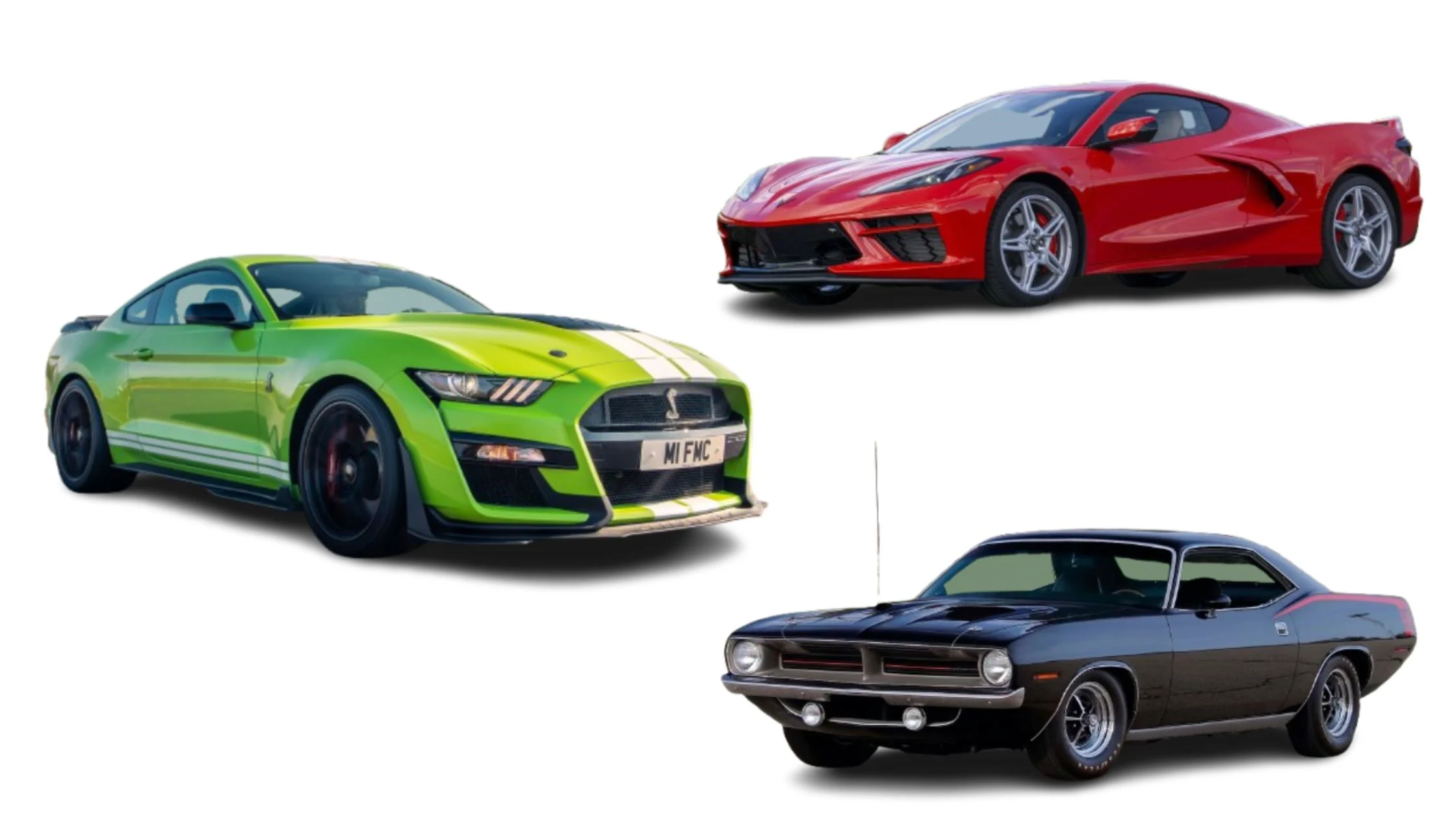 Muscle Cars in India